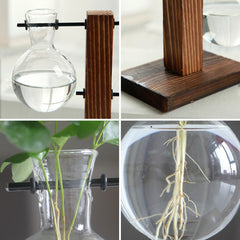 Vintage Glass Hydroponic