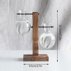 Vintage Glass Hydroponic