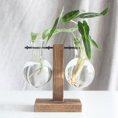 Vintage Glass Hydroponic