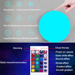 Colorful LED Garden Glowing Ball Lights