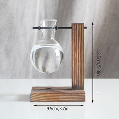 Vintage Glass Hydroponic