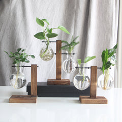 Vintage Glass Hydroponic