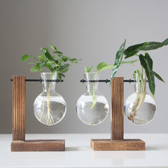 Vintage Glass Hydroponic