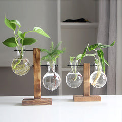 Vintage Glass Hydroponic