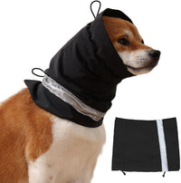 Dogs