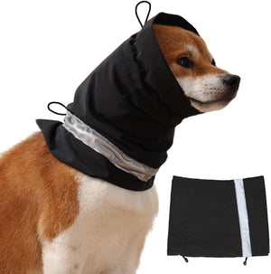 Dogs